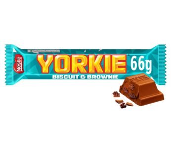YORKIE BROWNIE DUO